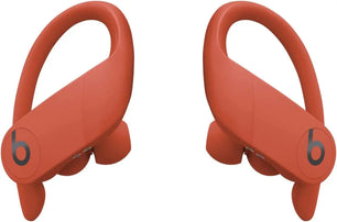 Powerbeats Pro Wireless Earbuds - Apple H1 Headphone Chip, Class 1 Bluetooth Headphones, 9 Hours of Listening Time, Sweat Resistant, Built-In Microphone - Glacier Blue